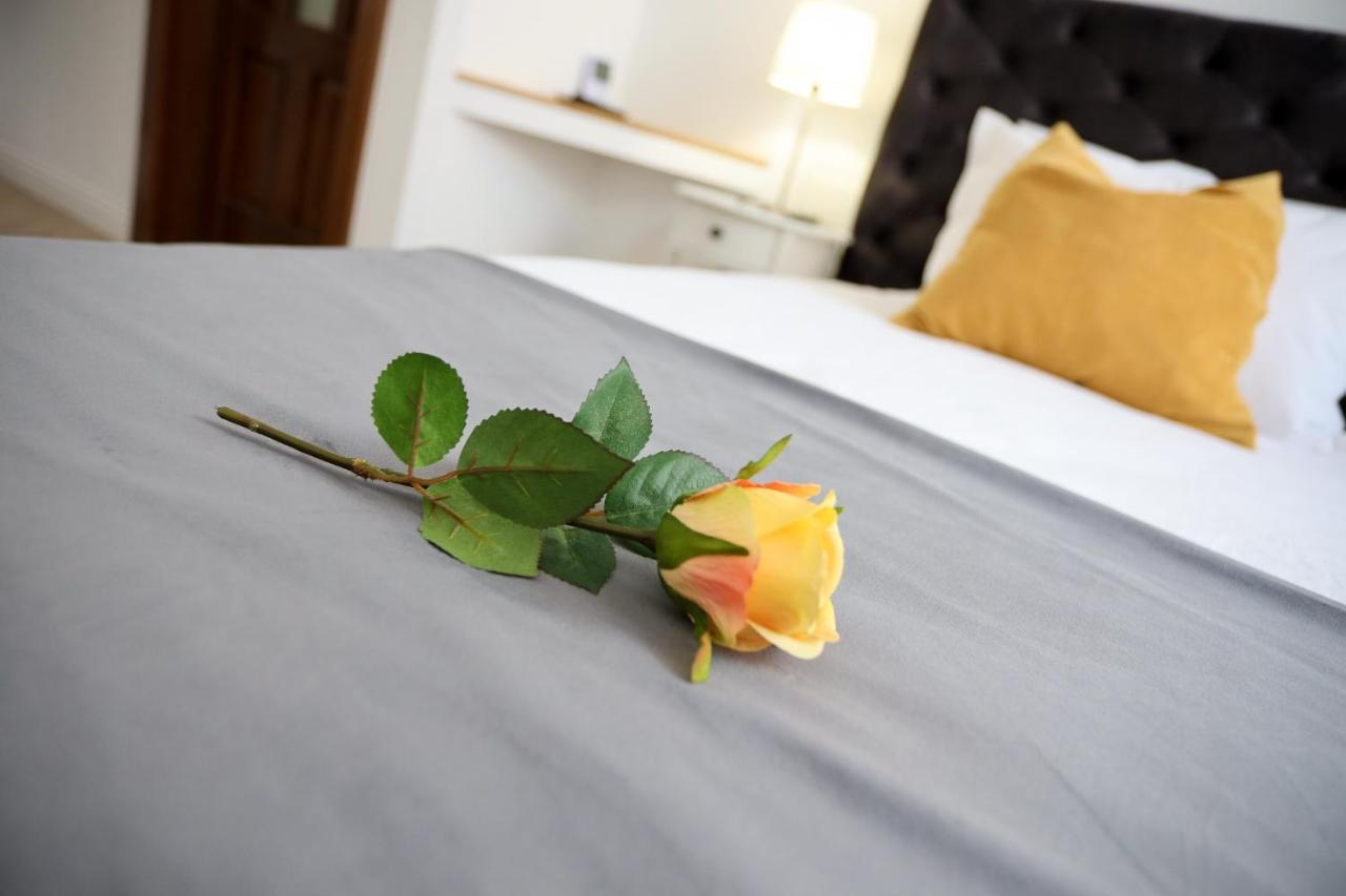 Alexander Flat_Alecsandri Apartment Oradea Ngoại thất bức ảnh